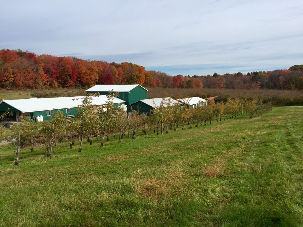 The fall foliage and scenery at the orchard was amazing.