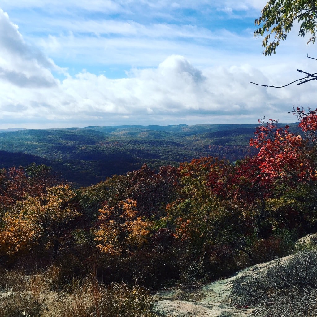 View of the fall foliage from the top of Bear Mountain