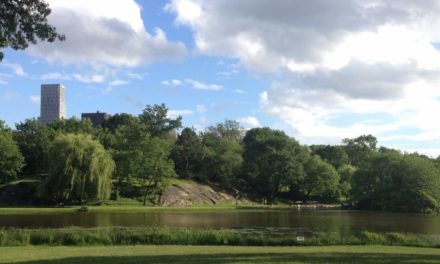 The Hidden Gems in Northern End of Central Park