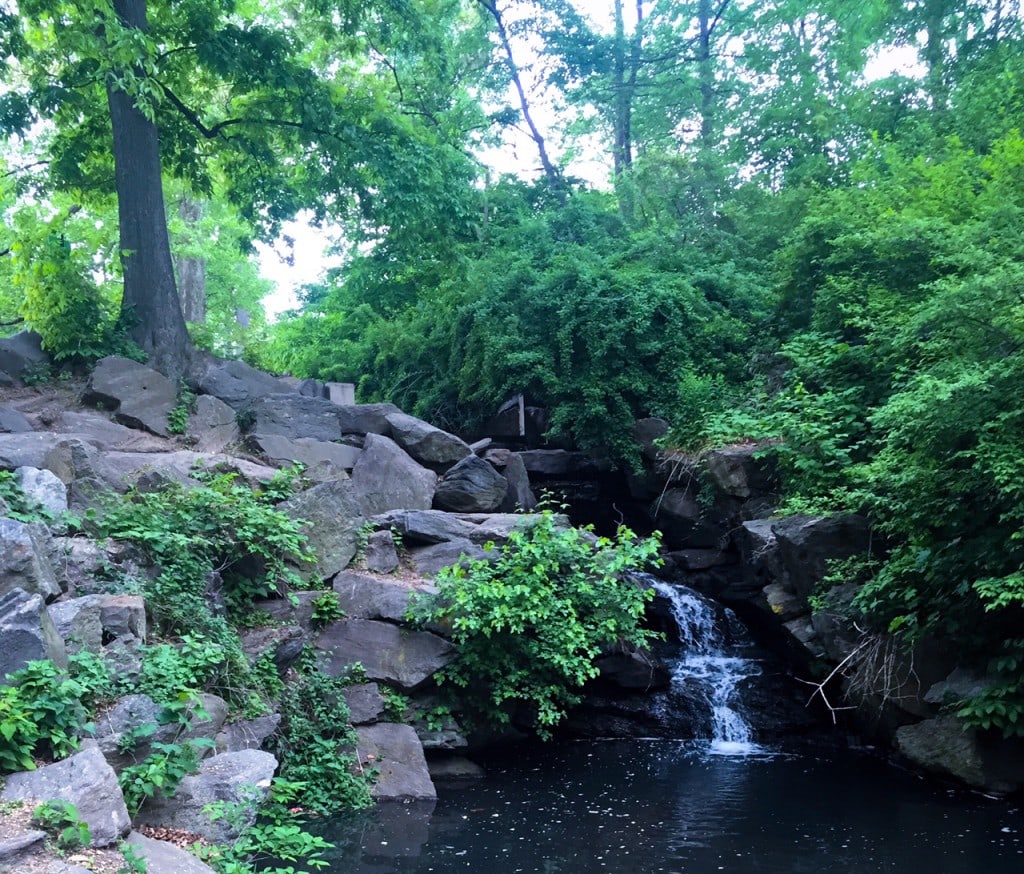 The Hidden Gems in Northern End of Central Park - Two Traveling Texans