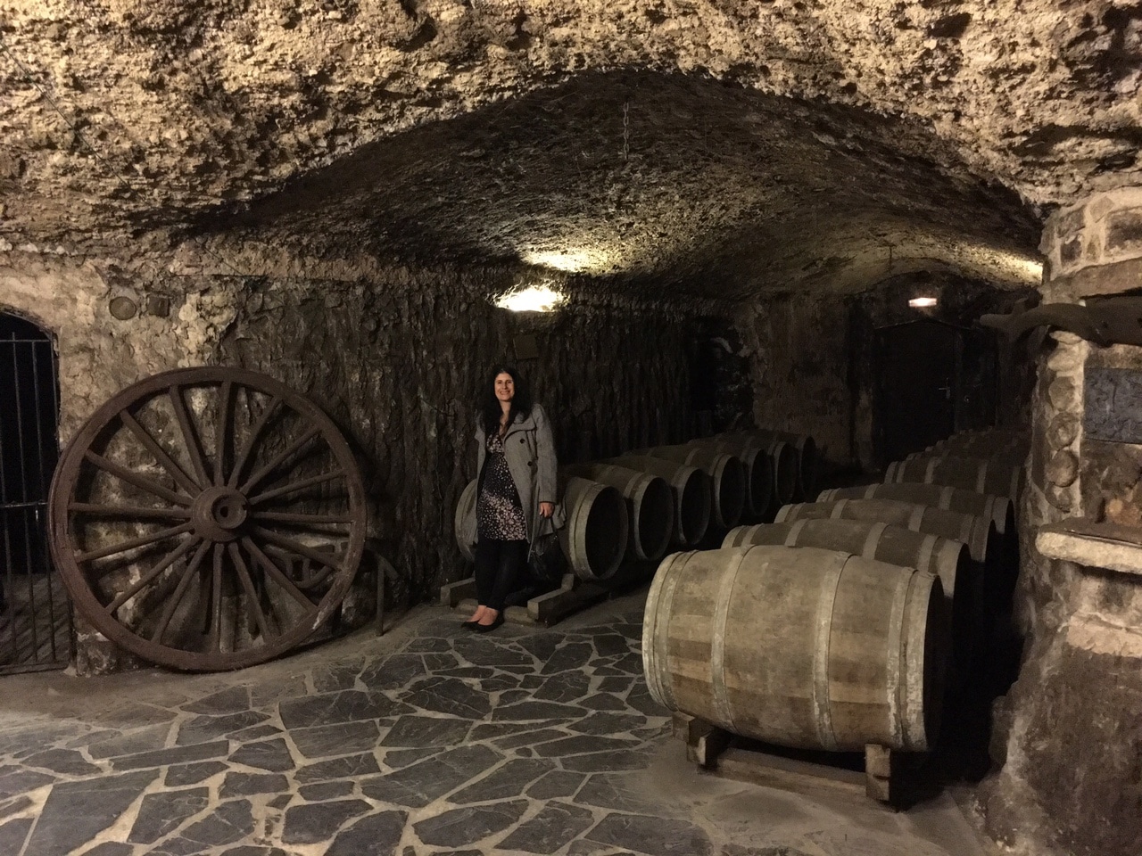Learning About Wine in Rioja Spain