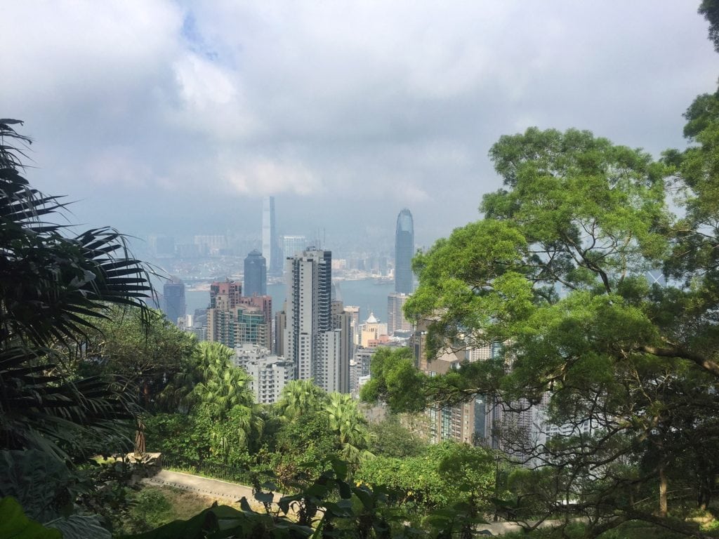 The buildings peak out between the trees. - "Don't Miss Victoria Peak When Visiting Hong Kong" - Two Traveling Texans