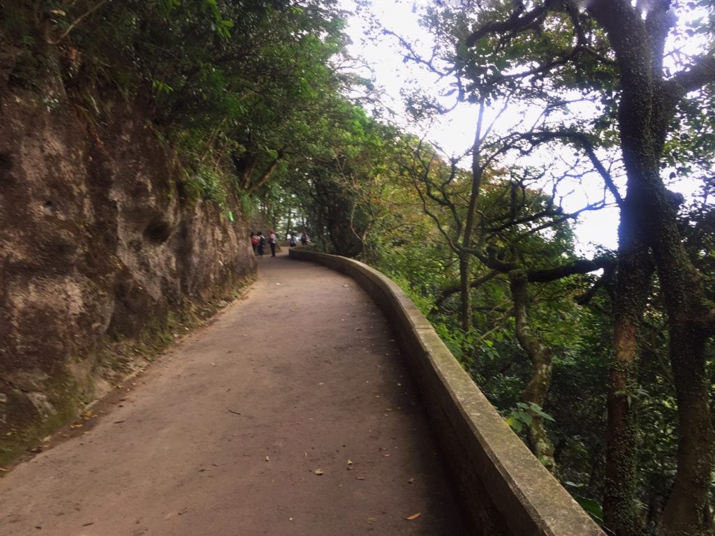 They did such a nice job with the paths on Victoria Peak.- "Don't Miss Victoria Peak When Visiting Hong Kong" - Two Traveling Texans
