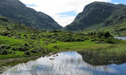 Top 8 Things to Do When You Visit Killarney National Park