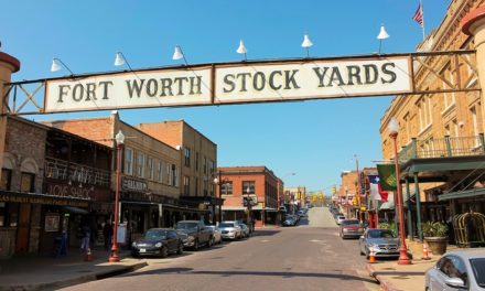 What to do at the Fort Worth Stockyards