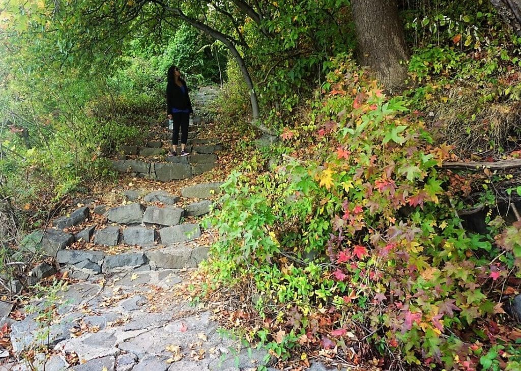 Artee hiking in Palisades Park, New Jersey - "Palisades Interstate Park: Perfect For a Fall Hike" - Two Traveling Texans
