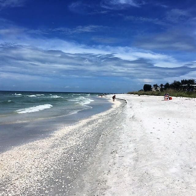 Sanibel Island has some of the best shelling beaches in Florida if not the world! - - "The Search for Sanibel Island Shells" - Two Traveling Texans