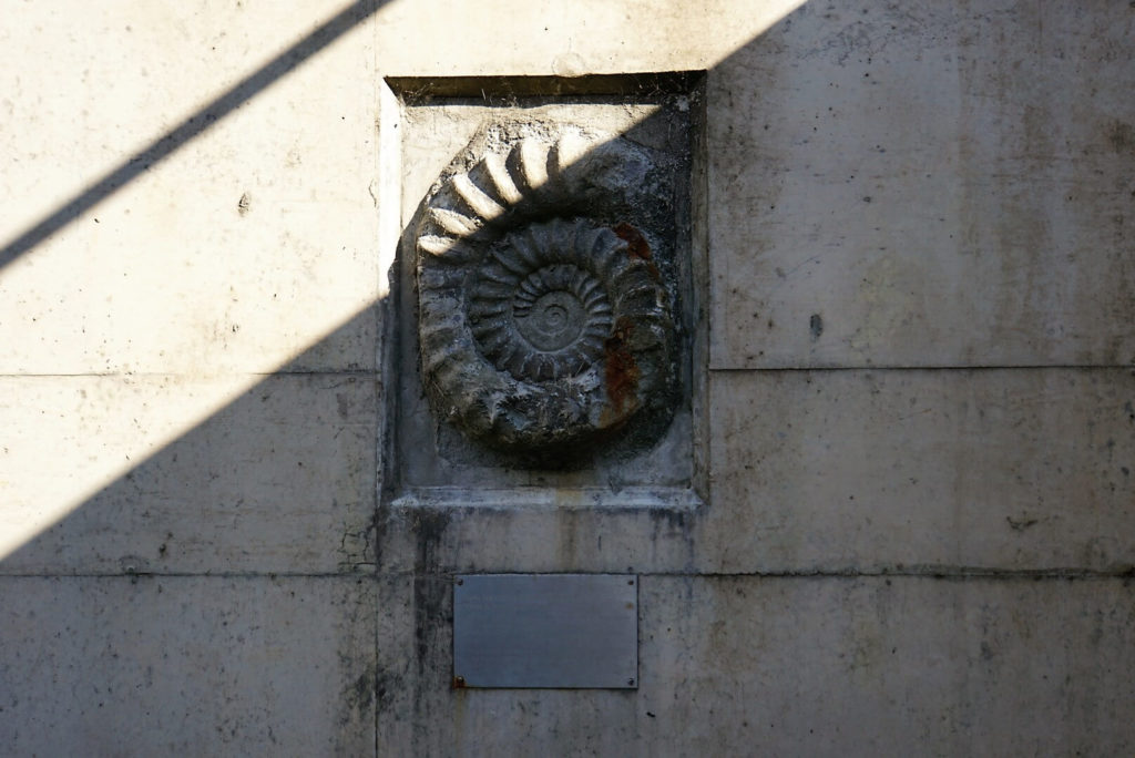 Ammonite on wall - hunting for fossils on the Jurassic Coast - Two Traveling Texans 