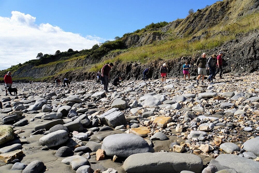 People looking for fossils on the beach - fossil hunting in dorset - Two Traveling Texans