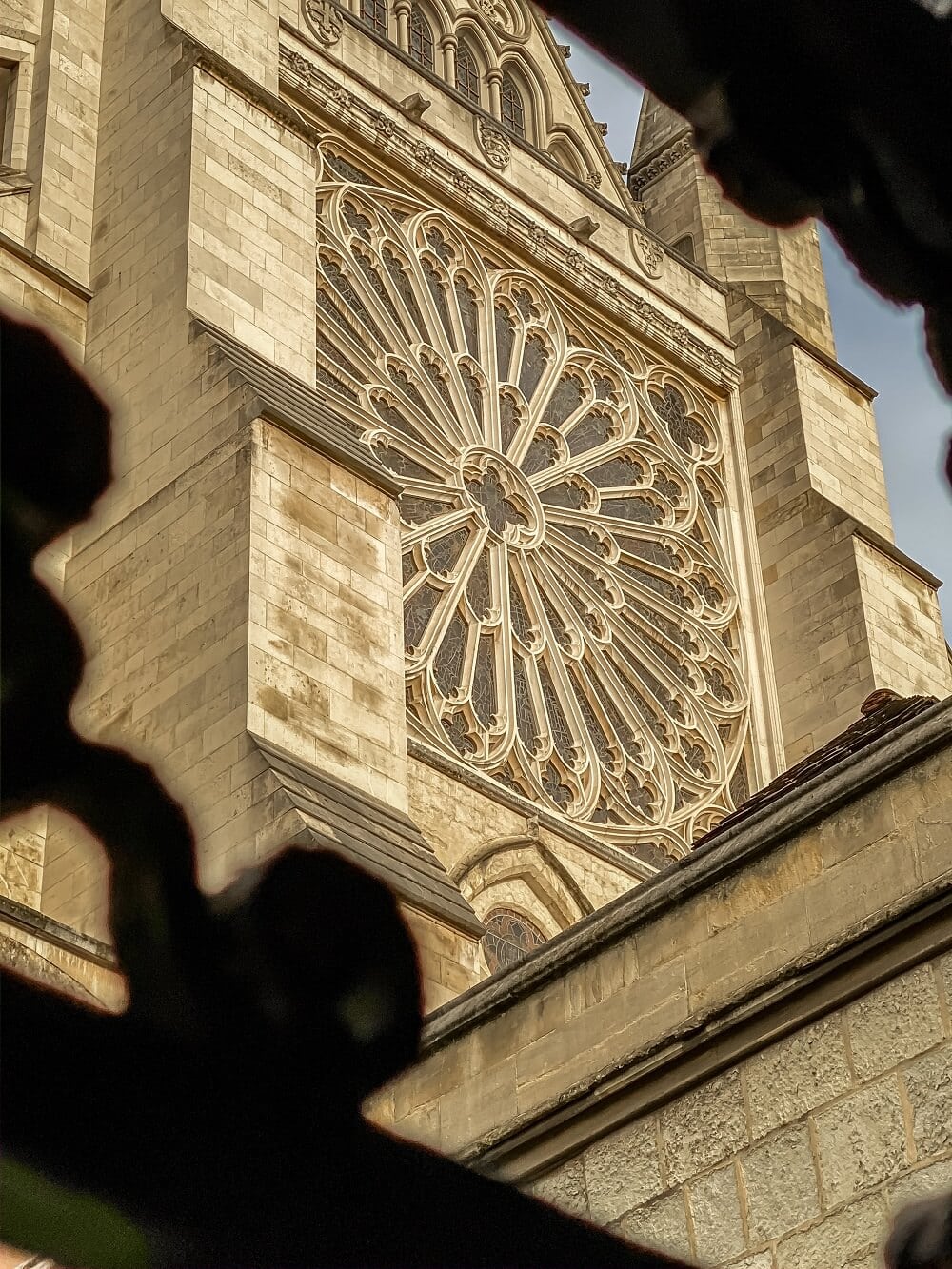 view of Rose window from the cloisters