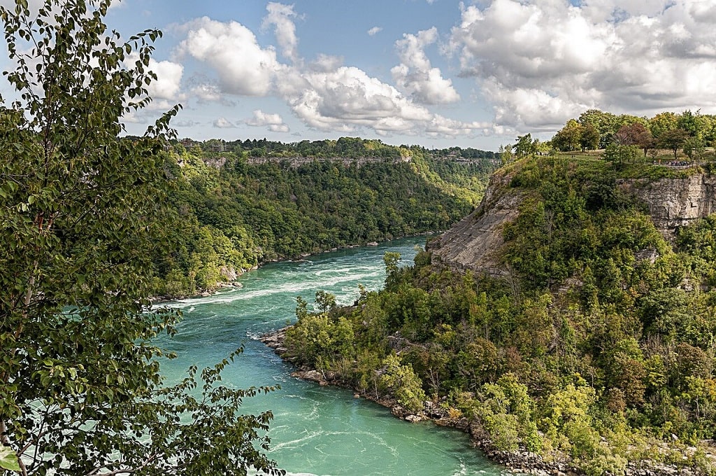 Niagara Glen is ideal for hiking - lots of green and fantastic views