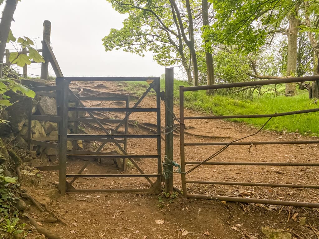 kissing gate at top of woodland section of the belas knap walk