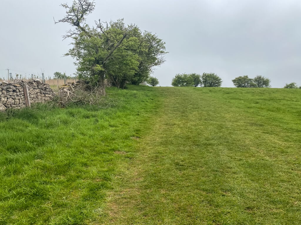 open field that you go through on the belas knap walk