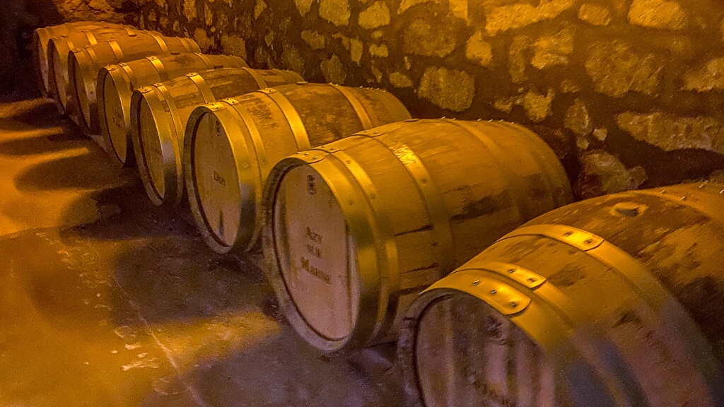 barrels of wine in the cellars