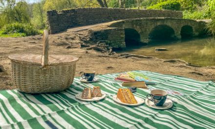 Afternoon Tea Picnic in the Cotswolds