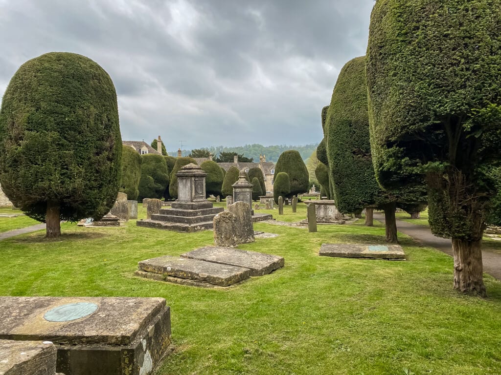 many yew trees and graves in st marys churchyard in painswick
