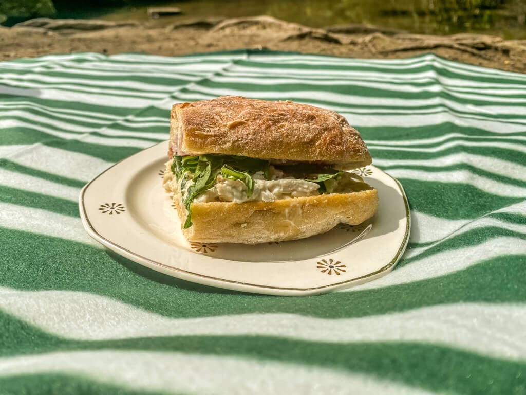 sandwich on a ciabatta roll on the plate on the picnic blanket