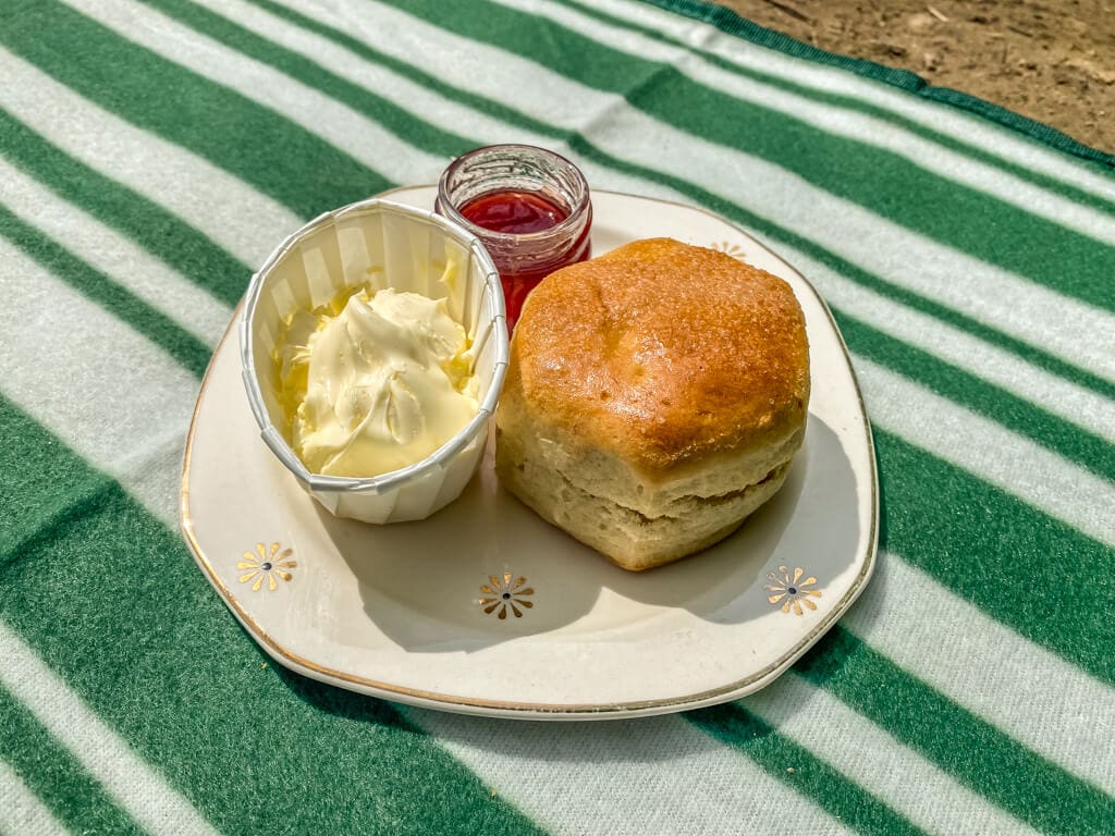 plate with scone, jam, and cream