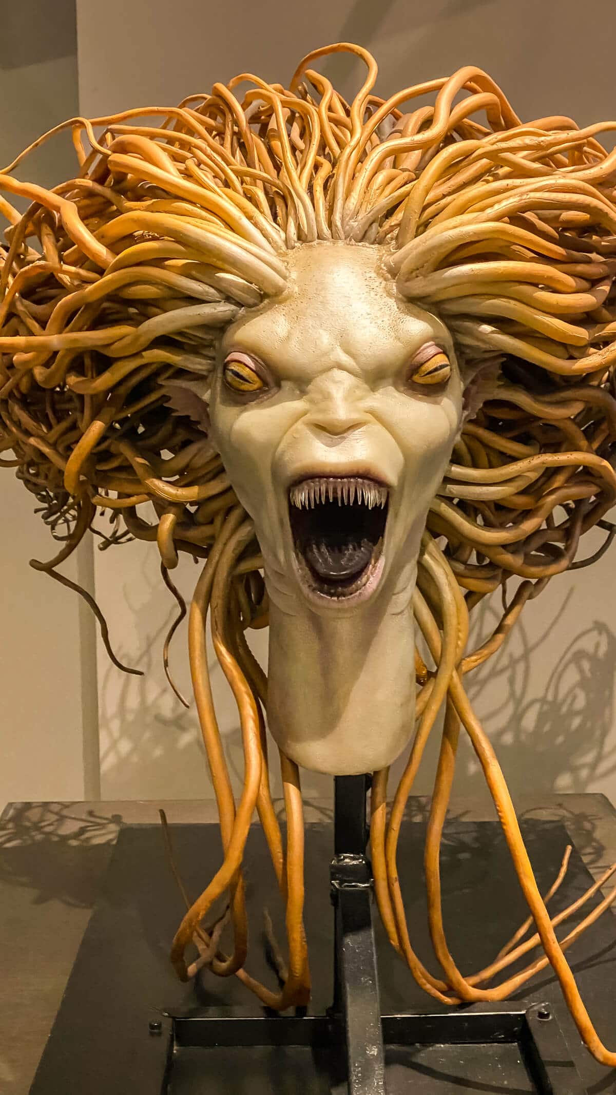 head of siren creature from harry potter